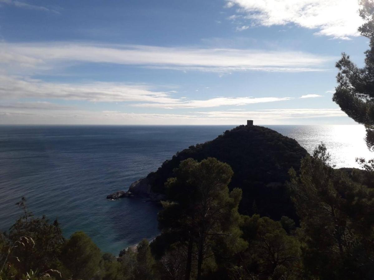 Residence Holidays Pietra Ligure Dış mekan fotoğraf